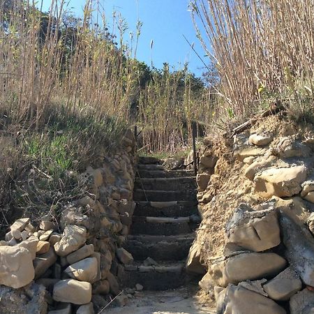 파그 Yellow House Experience 아파트 호텔 외부 사진